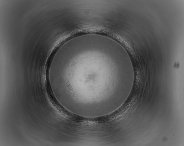 X0000100760582200806191209