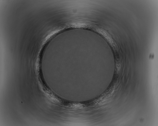 X0000100760583200806191209