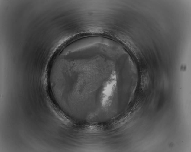 X0000100760584200806191209