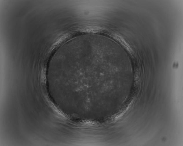 X0000100760585200806191209