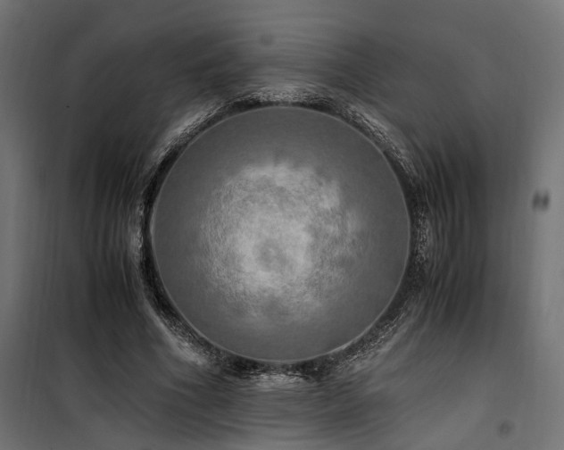 X0000100760586200806191209