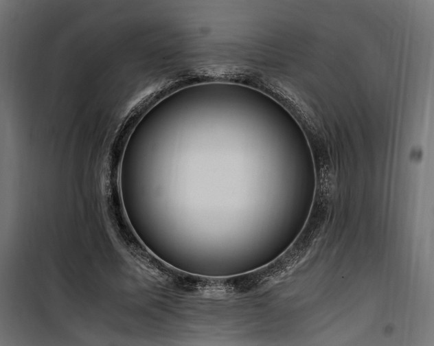 X0000100760587200806191209