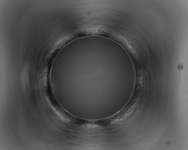 X0000100760590200806191209