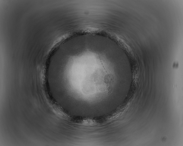 X0000100760591200806191209