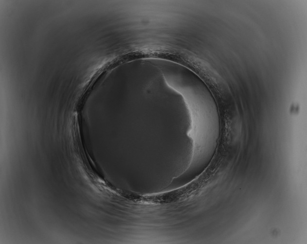 X0000100760592200806191209