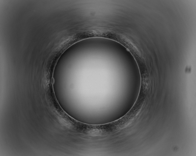 X0000100760593200806191209