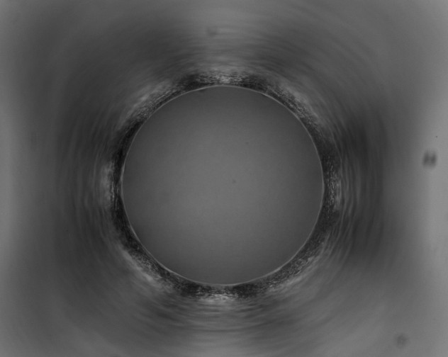 X0000100760594200806191209