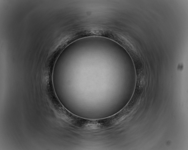 X0000100760595200806191209