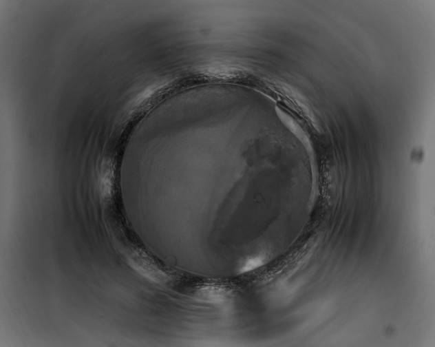 X0000100760596200806191209