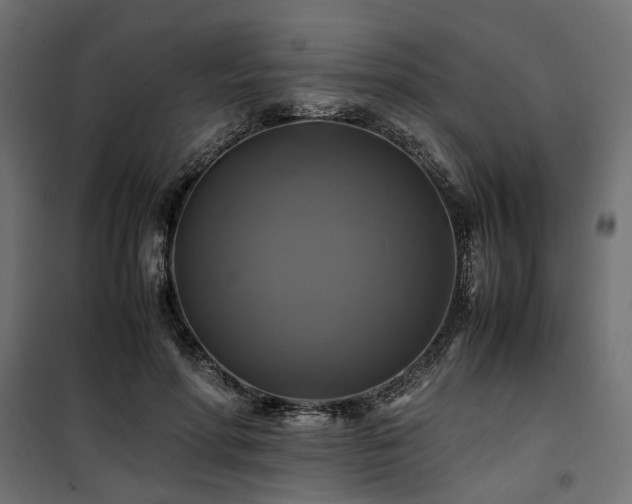 X0000100760598200806191209