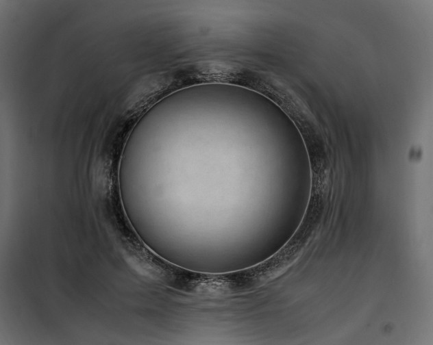 X0000100760599200806191209