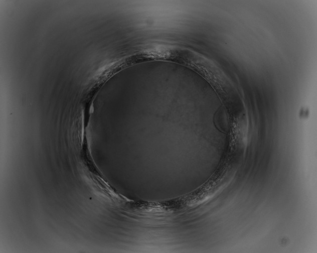 X0000100760600200806191209