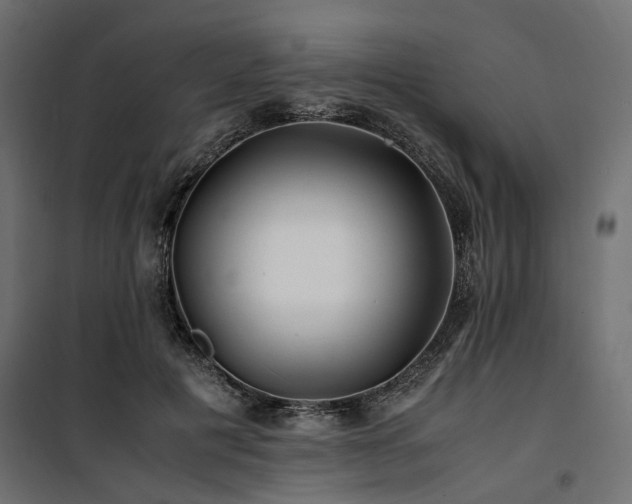 X0000100760601200806191209