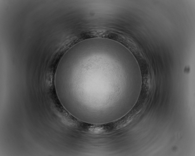 X0000100760602200806191209