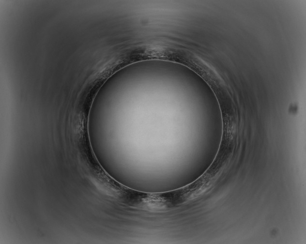 X0000100760603200806191209