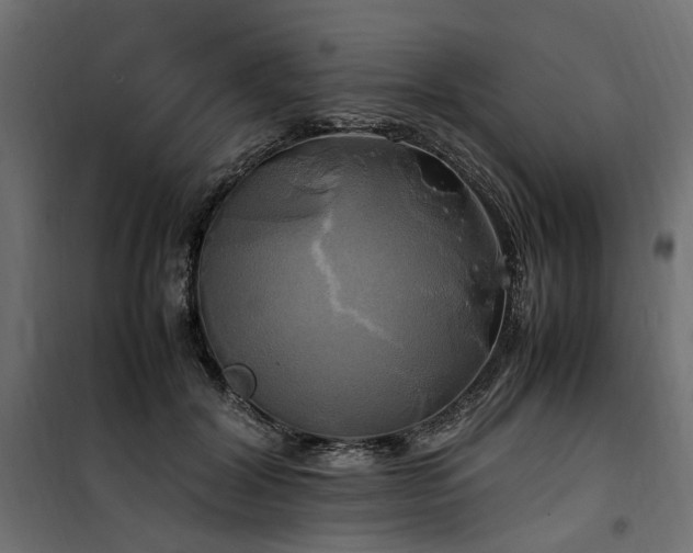 X0000100760604200806191209