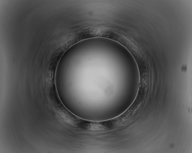 X0000100760605200806191209