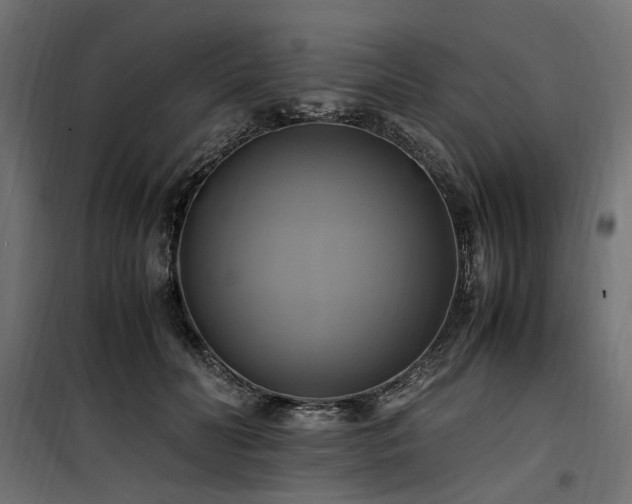 X0000100760606200806191209