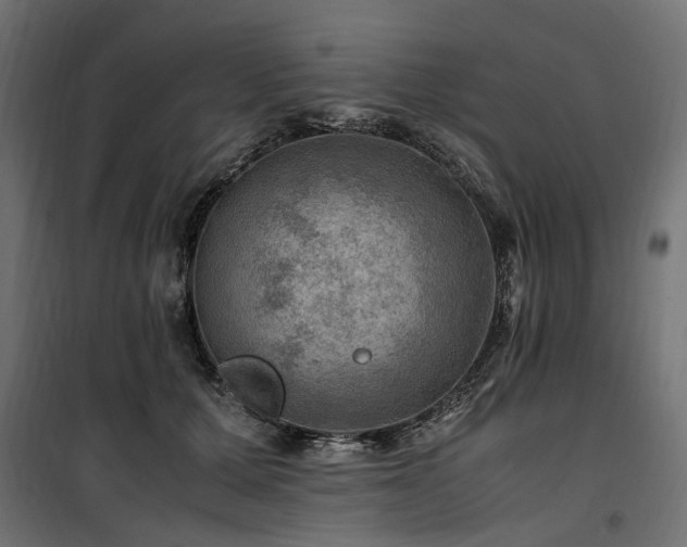 X0000100760607200806191209