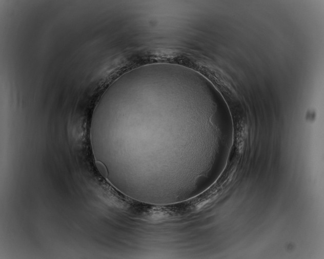 X0000100760608200806191209