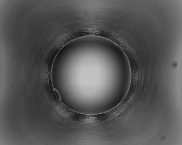 X0000100760609200806191209