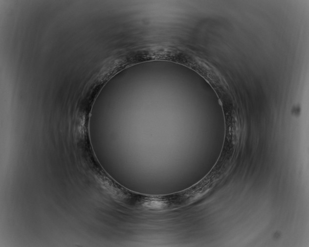 X0000100760610200806191209