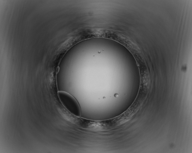 X0000100760611200806191209