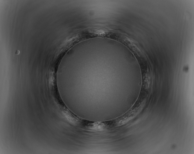 X0000100760612200806191209