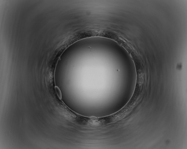 X0000100760613200806191209