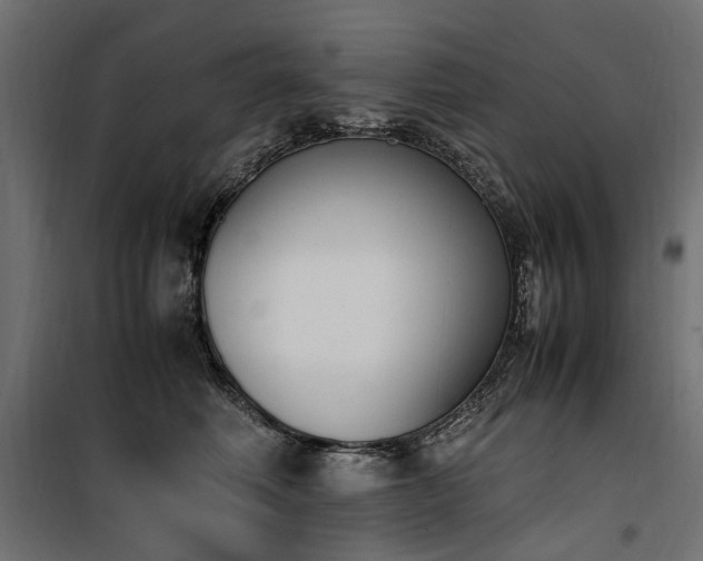 X0000100760614200806191209