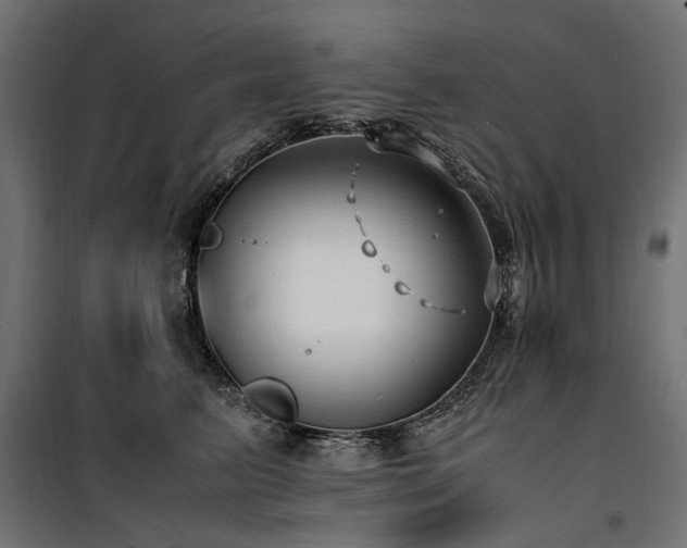 X0000100760615200806191209