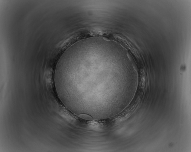 X0000100760616200806191209