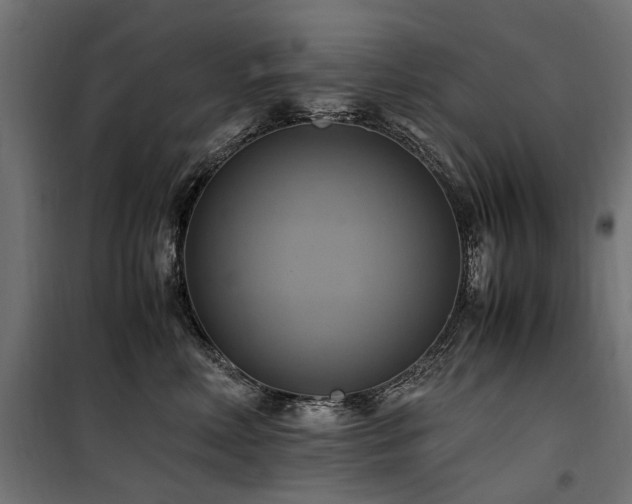 X0000100760618200806191209