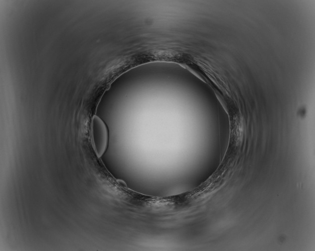 X0000100760619200806191209