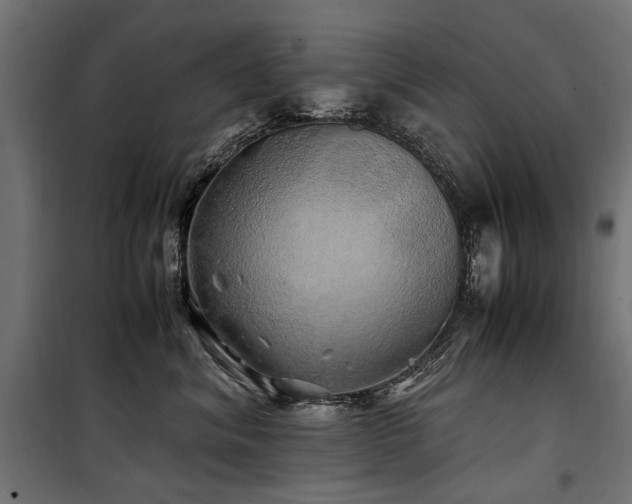 X0000100760620200806191209