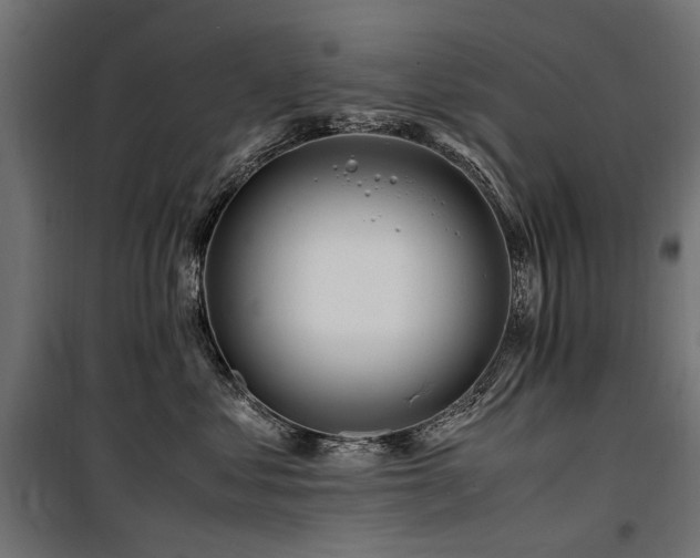 X0000100760621200806191209