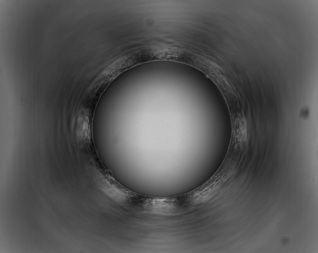 X0000100760622200806191209