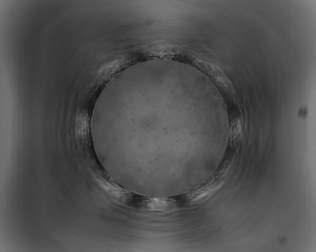 X0000100760623200806191209