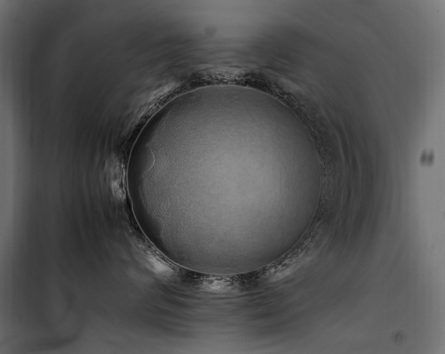 X0000100760624200806191209