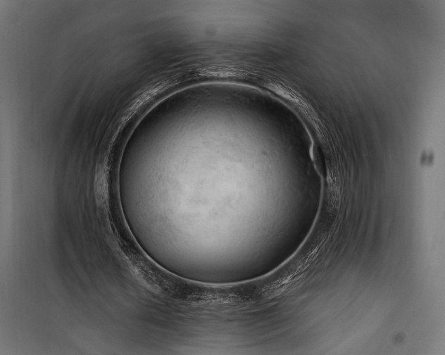 X0000100760626200806191208