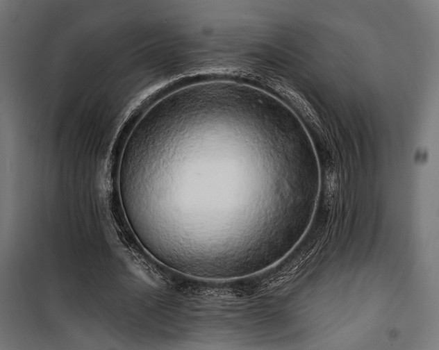 X0000100760628200806191208