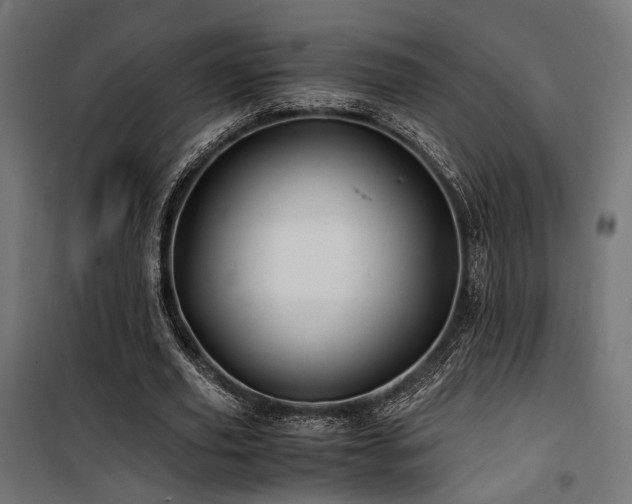 X0000100760629200806191208