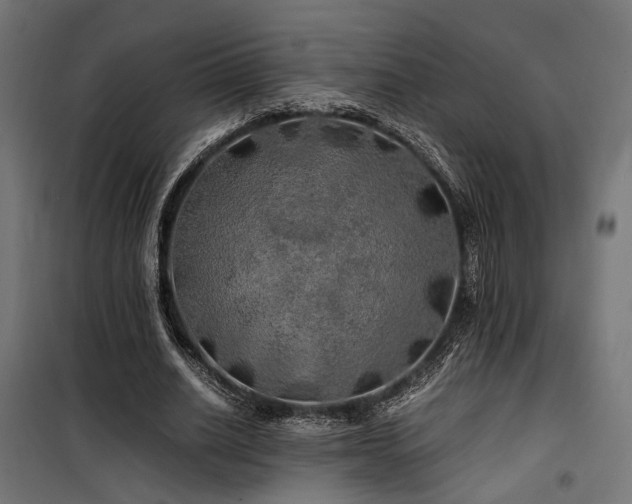 X0000100760630200806191208