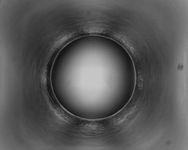 X0000100760631200806191208