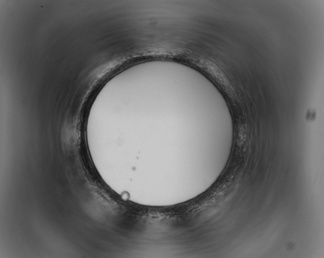 X0000100760632200806191208