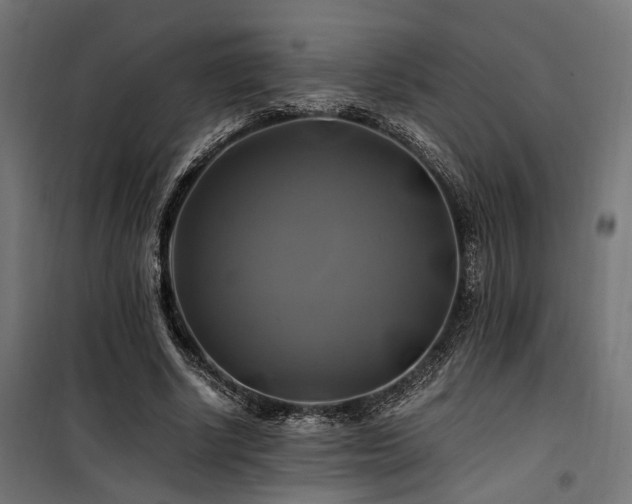 X0000100760634200806191208