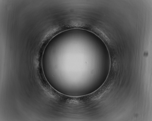 X0000100760635200806191208