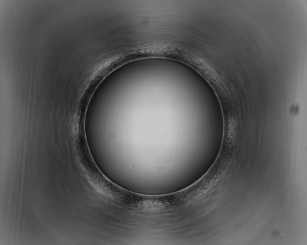 X0000100760636200806191208