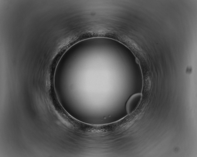 X0000100760638200806191208