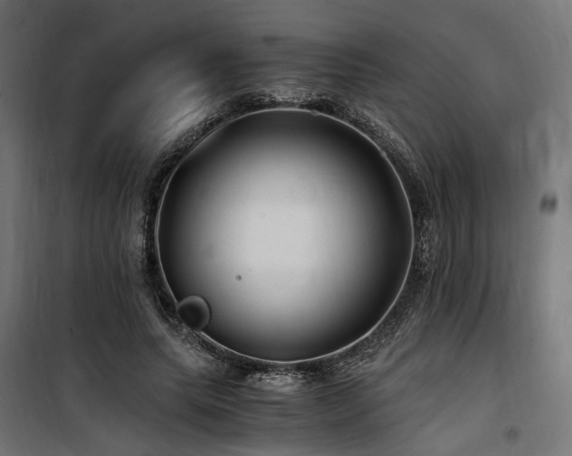 X0000100760639200806191208